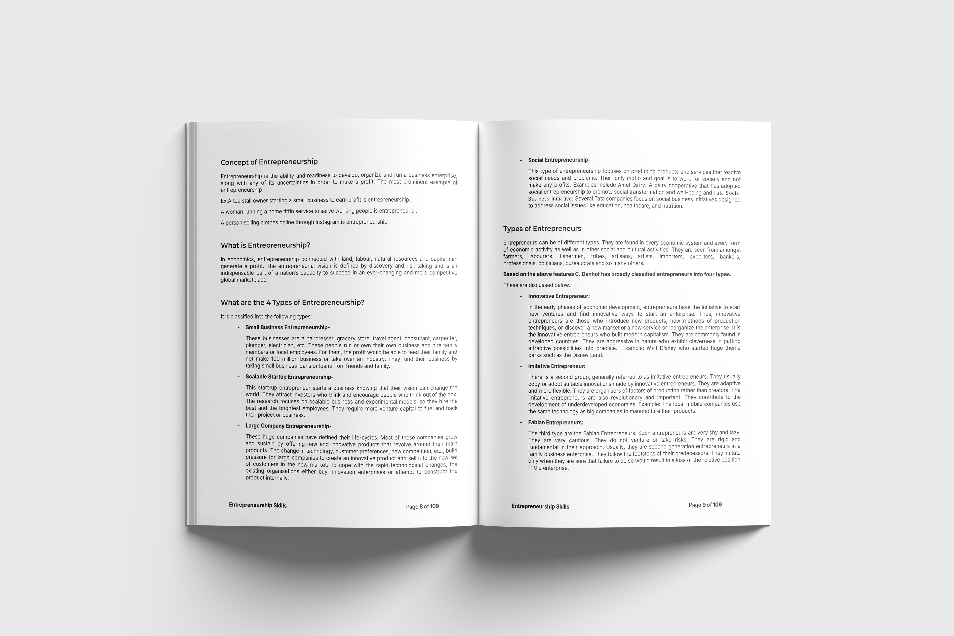 Entrepreneurship Skills - DF26S13