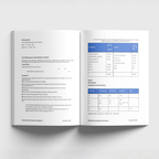 Financial Accounting and Analysis II - DF25S35B