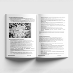 Business Communication - DF25S07