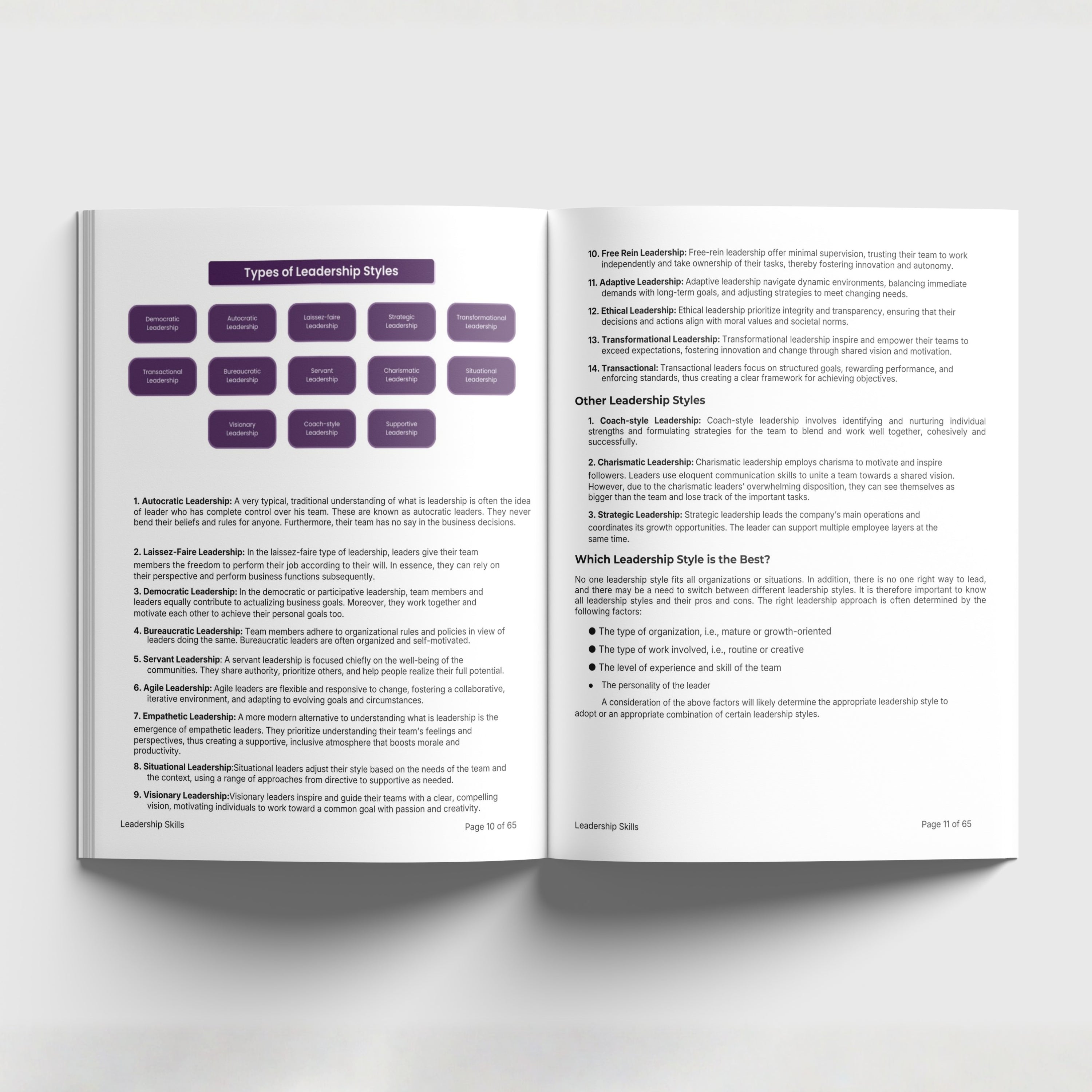 Leadership Skills - DF25S20